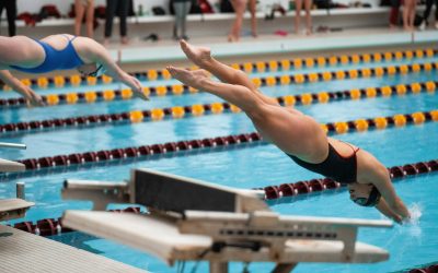 STUDENT-ATHLETE READINESS survey